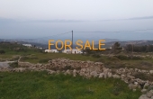 14006, 5,200 square meters of land in Lefkes, with views
