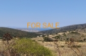 13009, 4,600 square meter land in Aneratzi with views