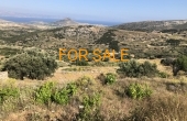 1203, Own your own mountain in Lefkes!