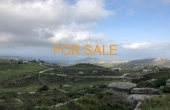 2014, Smart investment opportunity - 1.3 acres of land, with a lot of potential