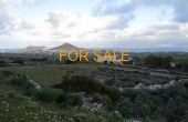 1209, Unobstructed views of Koufounisia, Naxos, Mykonos and Tinos from 6 1/2 acres at Tsoukalia